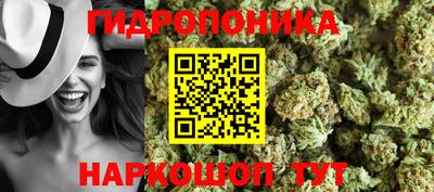 прущие грибы Ирбит