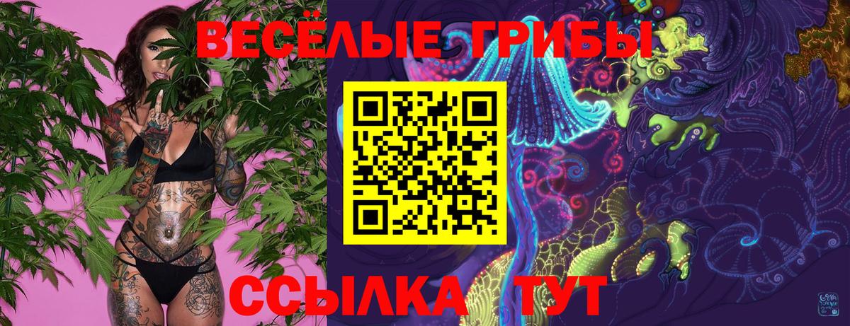 купить   Галлюциногенные грибы ЛСД  Южно-Сахалинск  Вход с VPN  Псилоцибиновые грибы Psilocybine cubensis 