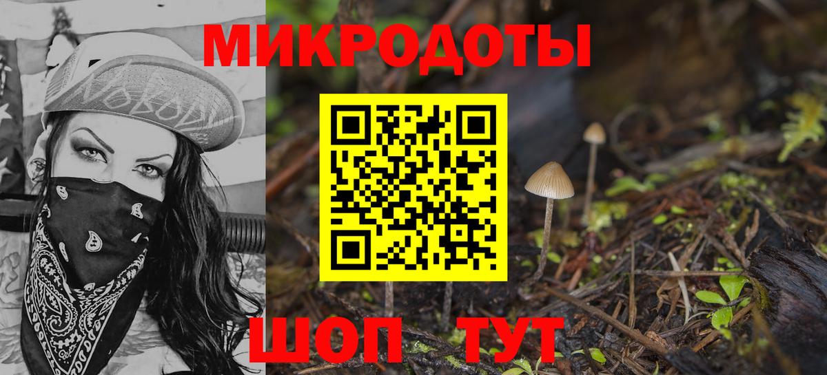 Псилоцибиновые грибы Psilocybe Южно-Сахалинск